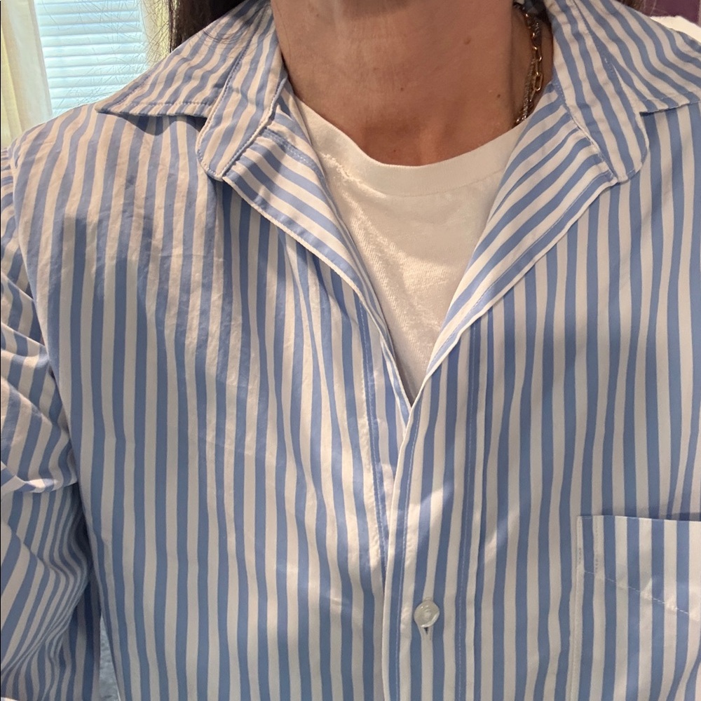 Frank & Eileen Blue and White Striped Shirt